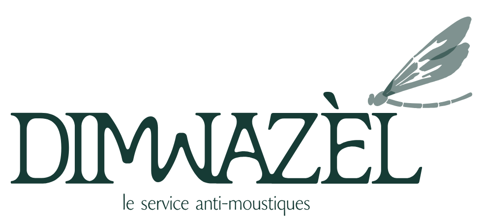 Dimwazèl